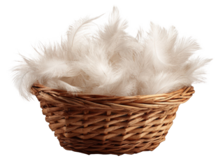 A wicker basket filled with white feathers