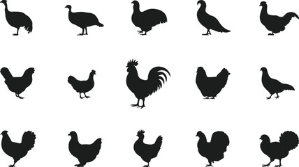 Collection of poultry bird silhouettes including chickens, roosters, turkeys, and pigeons, isolated on white background, perfect for farm animal designs