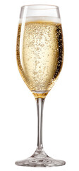 Champagne glass filled with bubbly wine