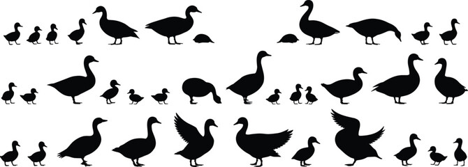 Silhouettes of ducks and ducklings in various poses, walking, flying, and standing, isolated on white background, wildlife vector illustration