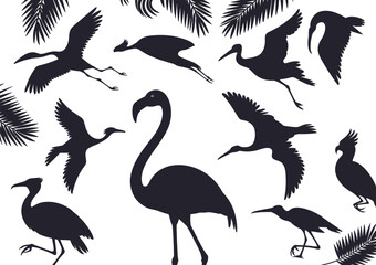 Silhouettes of exotic tropical birds in flight and standing, including flamingo and heron, with palm leaves, wildlife vector illustration