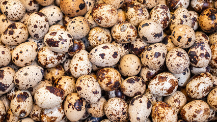 Quail eggs with unique speckled patterns are arranged closely together, showcasing their natural...