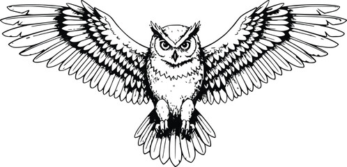 Owl Line Art Illustration – Black and White Flying Bird Drawing