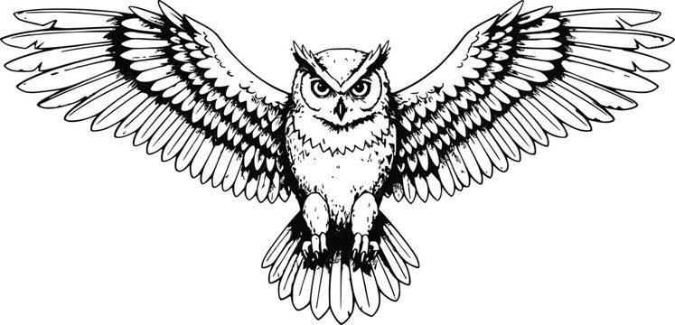 black and white owl with spread wings clip art preview
