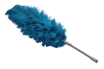 Teal feather duster isolated on black
