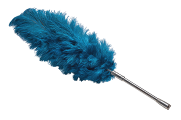 Teal feather duster isolated on black