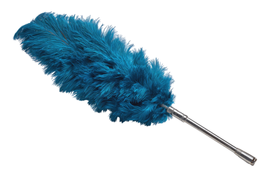 Teal feather duster isolated on black