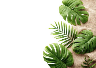 Fototapeta premium Tropical leaves on sand background