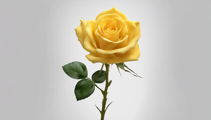 Single yellow rose centered on a minimalist white surface | Bright yellow rose in full bloom against a plain white background. Generative AI