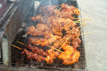 Grilled Chicken Skewers on Charcoal Grill