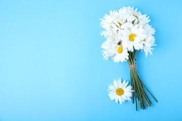 Bouquet of beautiful chamomile flowers on light blue background, top view. space for text