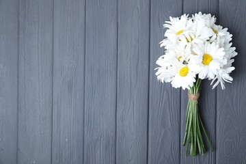 Bouquet of beautiful chamomile flowers on grey wooden table, top view. space for text