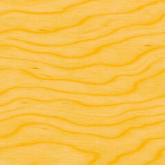 Birch wood textured background
