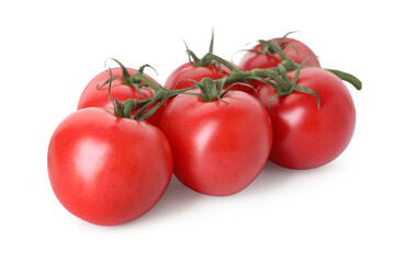 Many ripe red tomatoes isolated on white