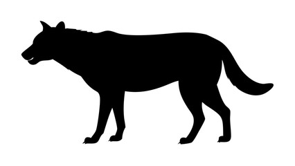 Obraz premium Wolf silhouette standing, in black and white.Silhouette of a wolf howling standing on a rock against white sky on white background , no background 