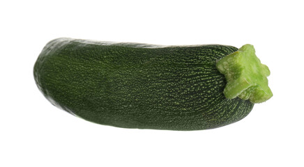One fresh ripe zucchini isolated on white