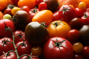 Different ripe juicy tomatoes as background, closeup