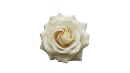 Ai generated image of a bright blue starburst light effect with radiating rays on a transparent background, isolated on transparent background