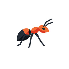 Illustration of red and black ant on white background, insect concept