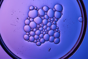 Serum with bubbles in a petri dish on a purple background.