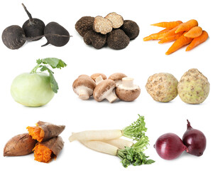 Food products with earthy taste isolated on white, set