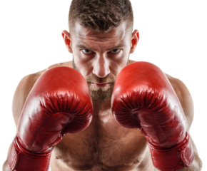 Boxer Ready to Fight