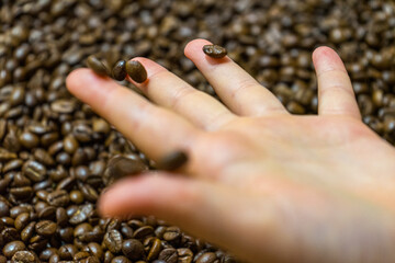 chicchi di caffè