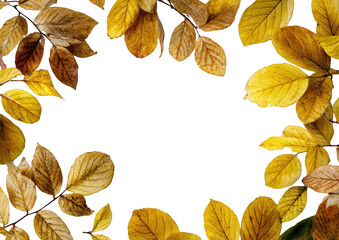 Obraz premium Autumn leaves frame on black background