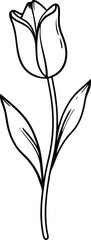 Simple Tulip Sketch: A detailed black and white sketch of a tulip flower, depicting the elegance and simplicity of nature, captured in a clean, illustrative style.