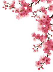 Pink cherry blossoms cluster, corner design