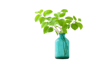 Teal vase with vibrant green leaves