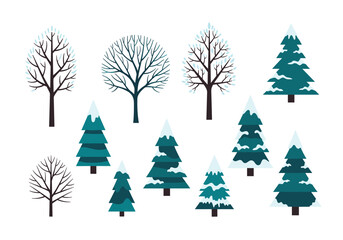 Obraz premium Collection of diverse winter trees covered in snow and frost