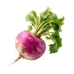 Turnip isolated on a transparent background.