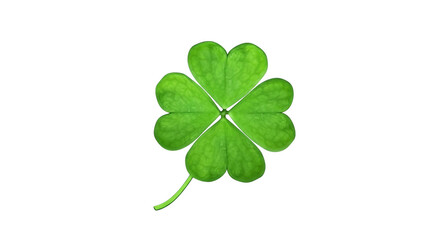 A vibrant four-leaf clover, symbolizing luck and good fortune, sits against a clean backdrop.