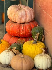 Bright Pumpkins and Gourds
