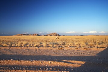 Traveling through desert roads is a great adventure and a great pleasure.