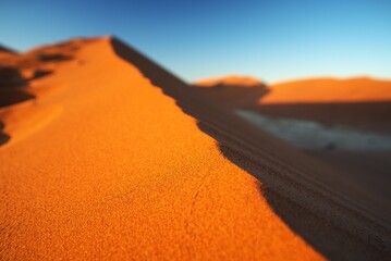 Traveling through desert roads is a great adventure and a great pleasure.