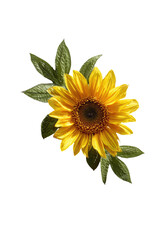 Close-up of a bright yellow sunflower with green leaves
