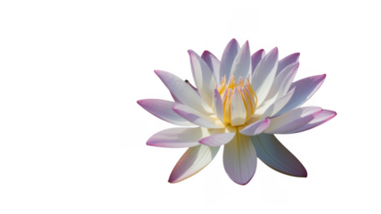 Ai generated image of abstract swirling white and pink smoke or liquid on a transparent background, isolated on transparent background