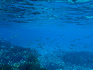 Dark blue ocean surface seen from underwater. Abstract waves underwater and rays of sunlight shining through, Sun light rays undersea deep, Underwater background with sea bottom, Mediterranean sea.