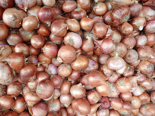 Fresh onions, a healthy and natural ingredient, are ripe and ready for cooking at the local market