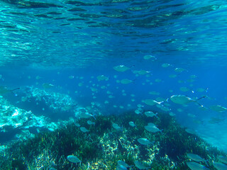 Dark blue ocean surface seen from underwater. Abstract waves underwater and rays of sunlight shining through, Sun light rays undersea deep, Underwater background with sea bottom, Mediterranean sea.