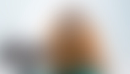 Blurred Background: Abstract Soft Focus, Pastel Tones, Neutral Colors, Gradient Texture, Minimalist Design, Website Banner, Soft Light, Bokeh Effect, Subtle Hues, Blurry, Out of Focus