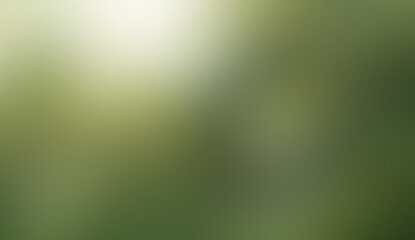 Green and White Blurred Background: Nature Inspired Gradient Texture