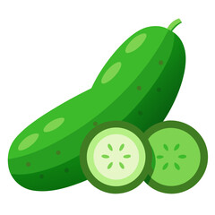 Green cucumber slices and whole vegetable vector on white background.