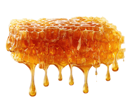 Honeycomb drips.  A close-up of a rectangular honeycomb cell, golden-amber in color.  Honey drips from the edges