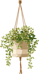 Hanging planter with trailing greenery (2)