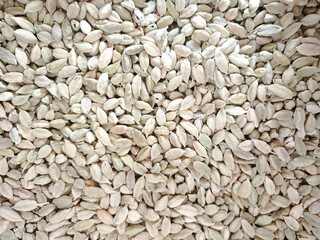 Green cardamom spice on white background A natural, healthy, and organic background texture 