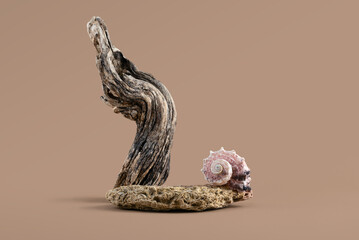 Minimalist Product Display with Driftwood, Coral, and Seashell