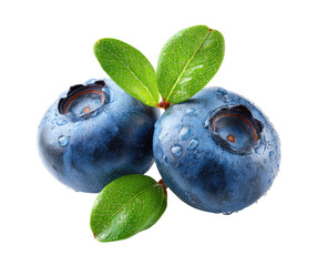 Close-up of two blueberries with dew drops and leaves